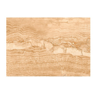Bodenfliese Cotto Glasiert Matt 120 cm x gallery