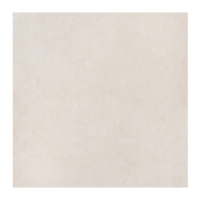 Feinsteinzeugfliese Silver, Matt 80 cm x gallery