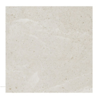 Bodenfliese Light Grey, Matt 80 cm x 80  gallery